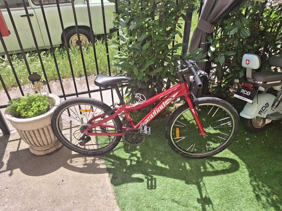 Bicicleta Pegas.