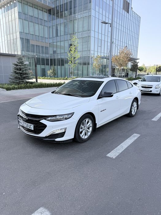 Malibu XL oq Tozza