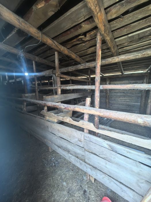 Продам дом около Борового