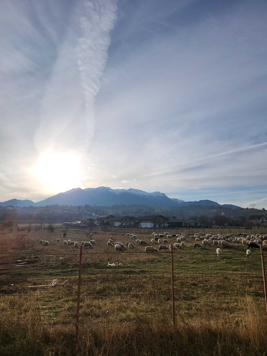 Vand Apartament 2 camere