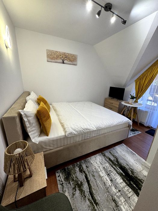 Vila de inchiriat,completa.