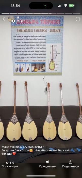 Домбыра чехолымен