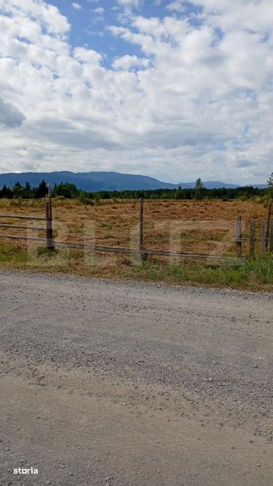 Vanzare teren intravilan, 3850 mp, Panaci