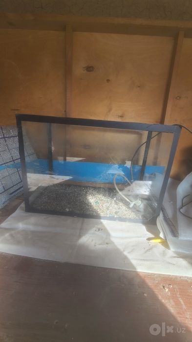 Akvarium oben qilaman sensorli telefonga
