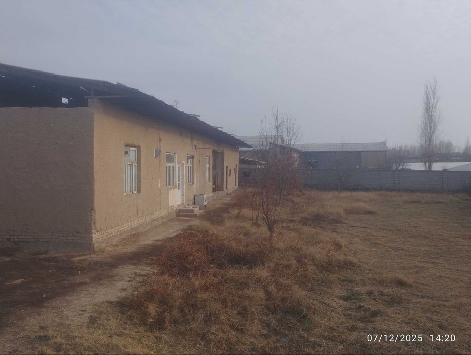 Янгийўл тумани Тинчликда 12 соток уй сотилади М39 гача 1 километр