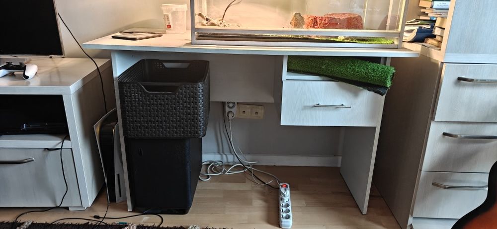 Бородая агама+ террариум + стол