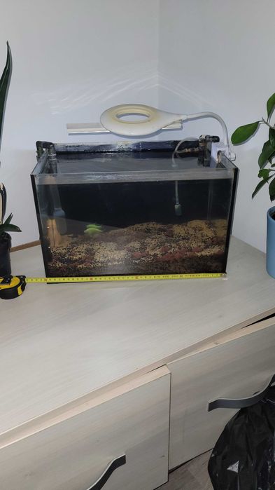 Малък Аквариум с рибки