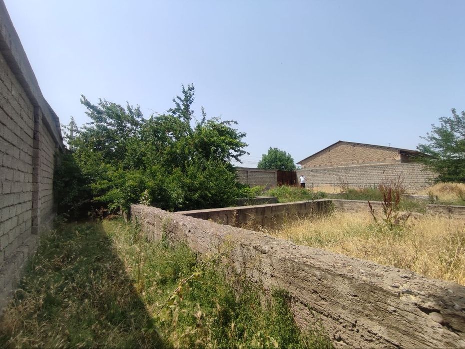 Барданкуль, Bardanko'l, Срочно арзон ер