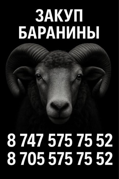 Баранина Кой ети