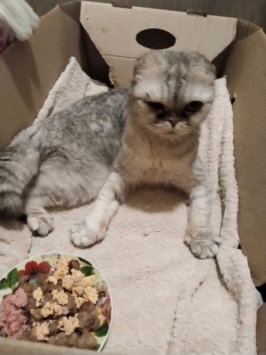 Девочка 7 месяцев