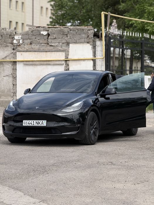 Tesla Model Y DUAL m LONG range