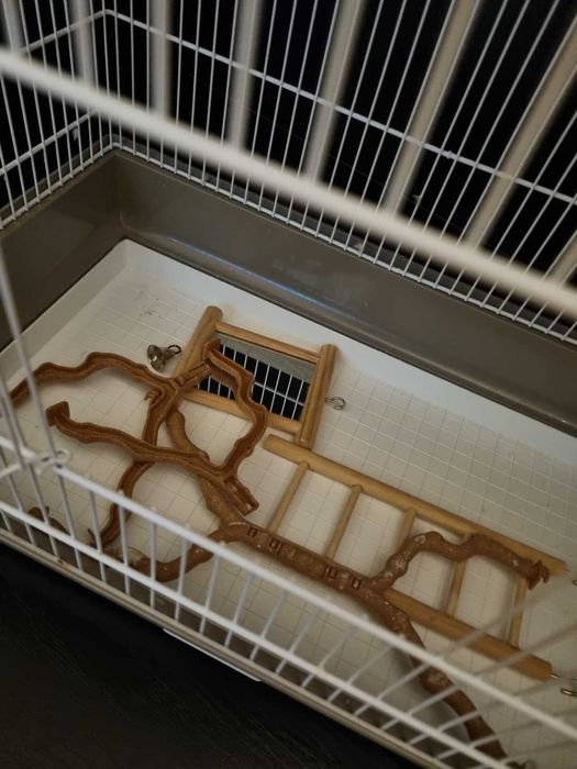 Colivie pentru pasari