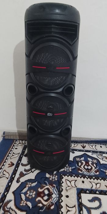 Колонка микрофоном