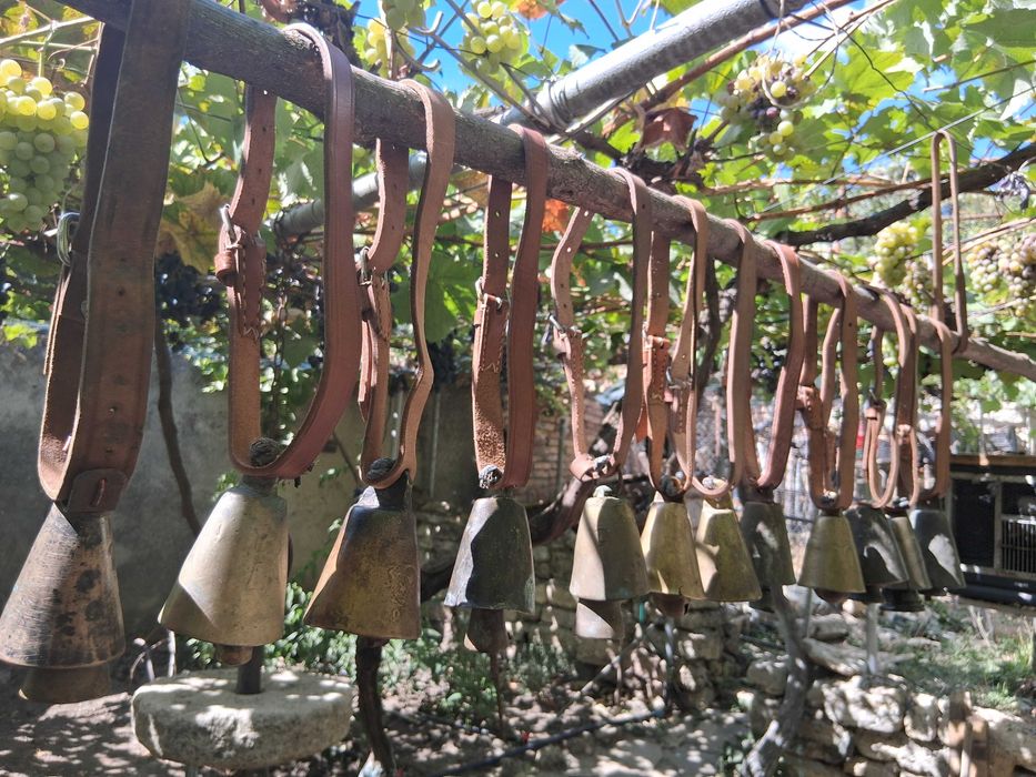 Звънци, Чан, Чанове