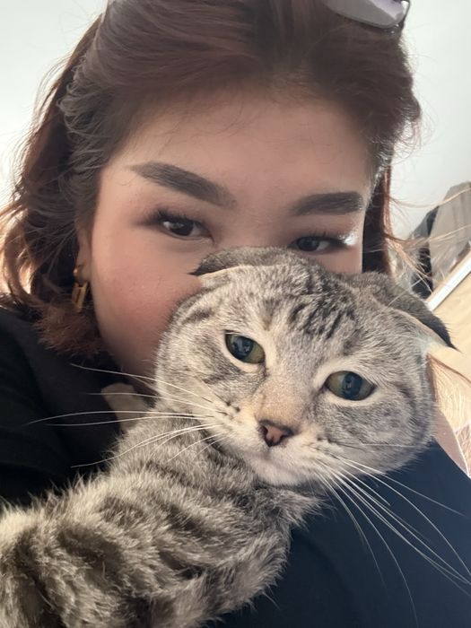 вислоухая кошкаа