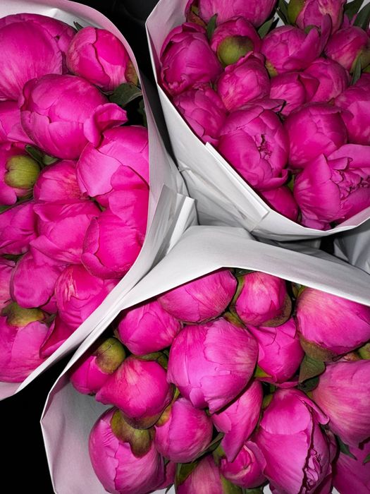 Пионы в наличии.