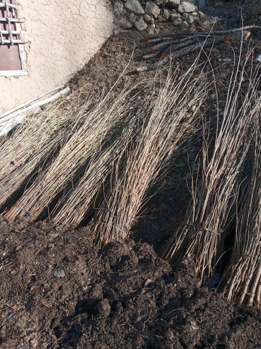 Yaxshidan bog‘ qolar yomondan dog‘