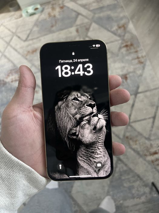 Iphone 12 Pro Max 128gb