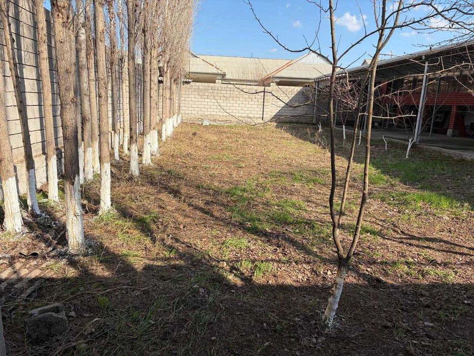 Сирдарёда Арзон Ховли уй