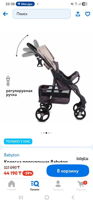 Коляска прогулочная Babyton