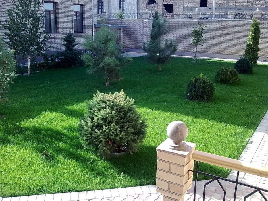 Gazon   Rulon.    Yevro   urug.   ishonchli  sepip berish va yotgizish