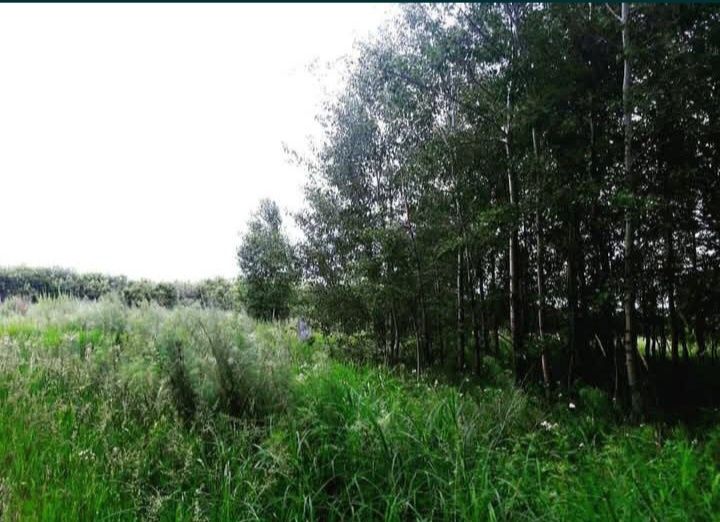 Ферма, Фазенда, Откорм площадка