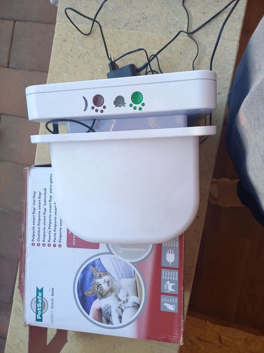 Usa acces pisica cu cip