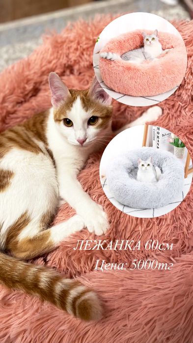 Лежанка для животных 50см 60см