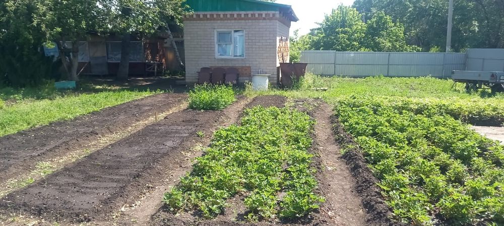 Продам дачу.  С/О Дружба.