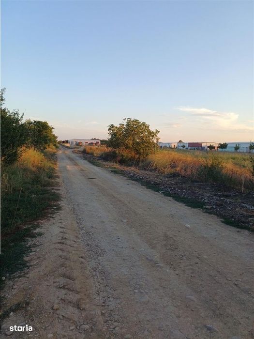 Otopeni-Str.Dr.Garii Balotesti-11.700mp-front 37ml-Ideal Investitie