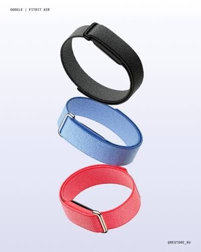 Google fitbit air