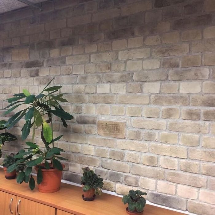 Укладка плитки кабанчик,клинкер,мелкоформатная плитка.Малярка,кафель,г