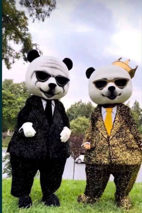 ayiqlar sotiladi ayiq sotiladi