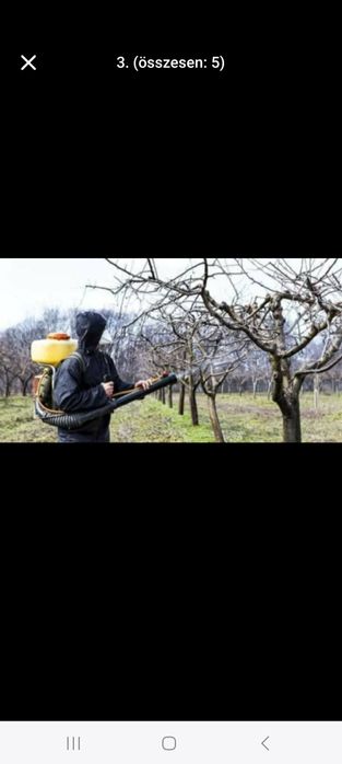 Toaletare Pomii Pomii