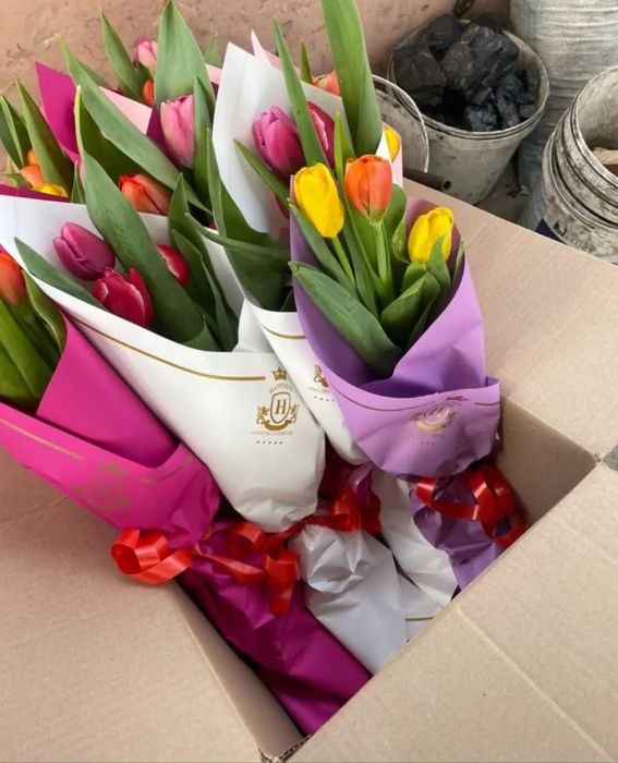 Тюльпаны премиум класса