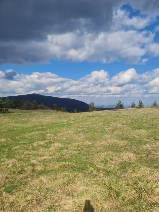 Продава се Земеделски имот в с. Давидково, Област Смолян -  кв.м за 15000 €/дка - Снимка #5