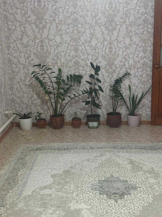 Продам дом на 10 соток