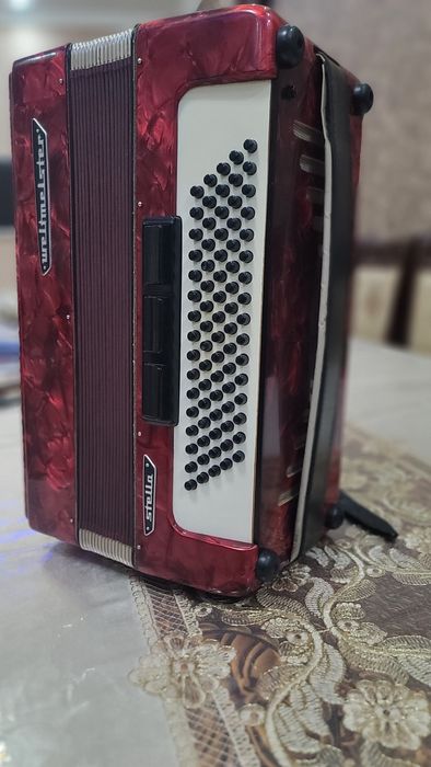 Akkordeon Sotiladi Weltimeistr stella