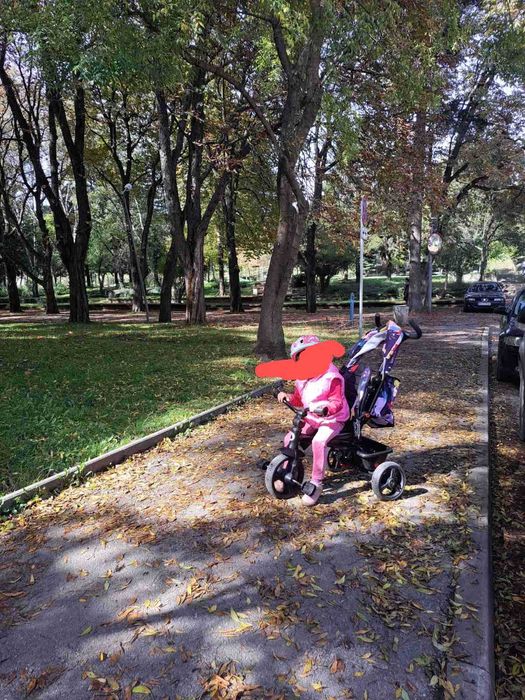 Детска триколка Lionelo