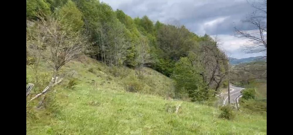 Teren la Transapuseana si unul in Mogoș Poieni