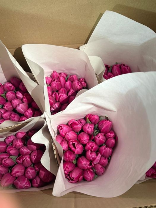 Продаю тюльпаны свежие по 700