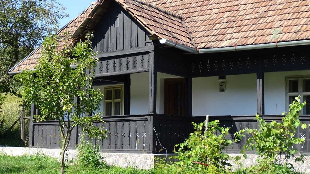 Proprietate cu potențial! Casă și teren 2000 mp Mureșenii de Câmpie