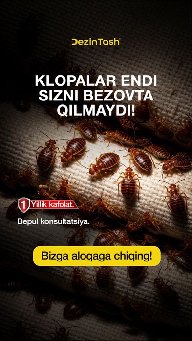 Тараканы клопы | Профессиональная обработка| Hasharotlarni yo'q qilish