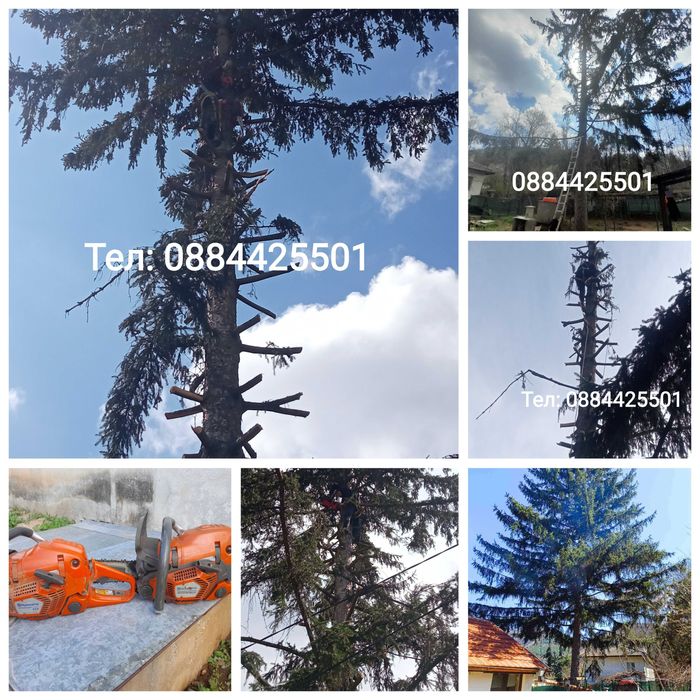 Рязане на опасни дървета,Кастрене,Косене