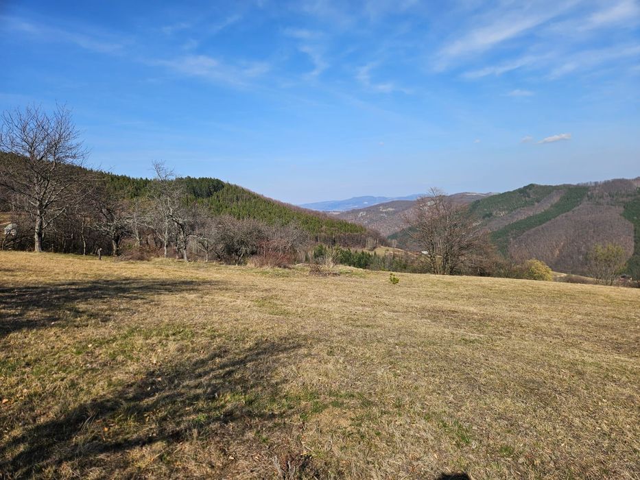 Teren intravilan de vanzare Damis