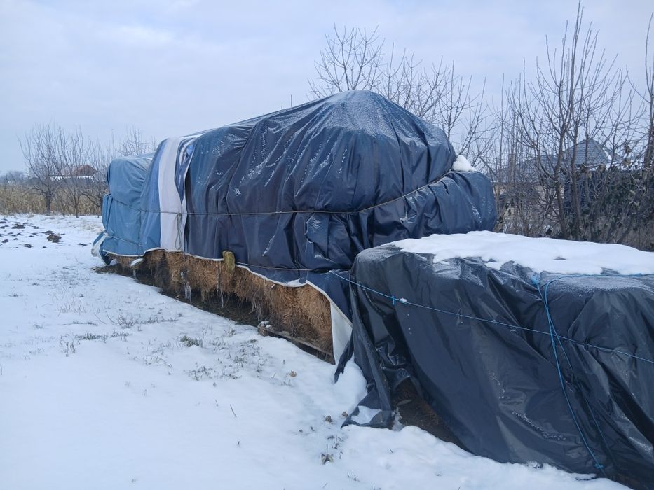Baloti Lucernă si fân.