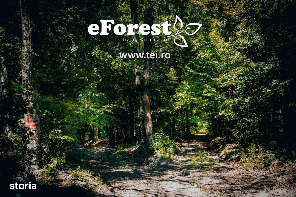 Profită acum de oferta de Paște! Langa padure. zona verde - eForest