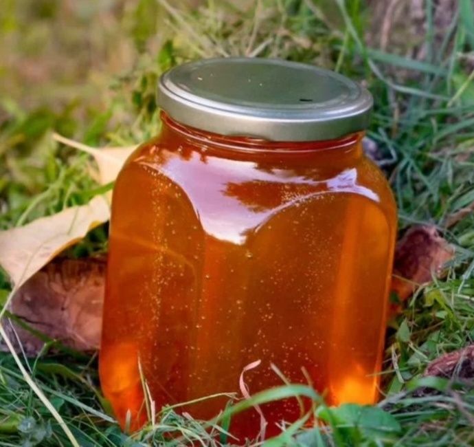 Асал янток, асал йоввойи, асал коп йиллик