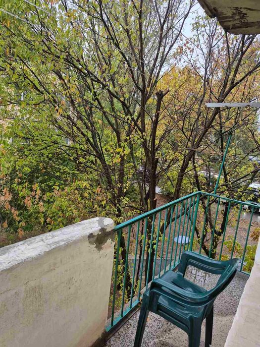 2-стаен, Дървеница