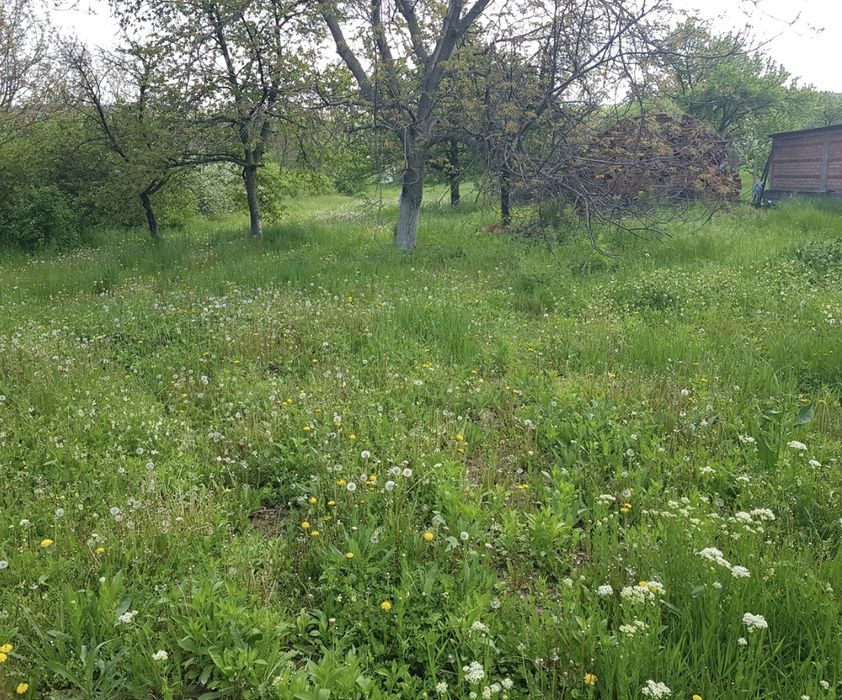 1701 mp teren intravilan în Com. Ghioroc, Arad.